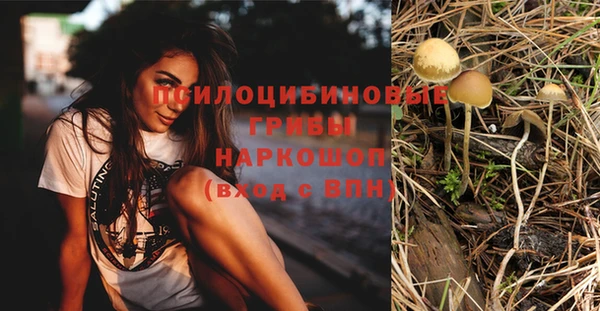 бутират Абаза